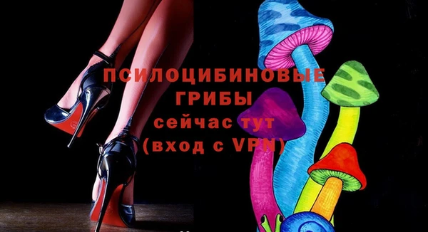амф Липки
