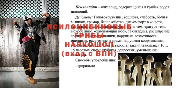 Альфа ПВП Ладушкин