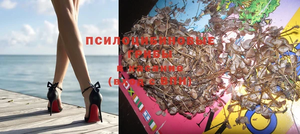 гашик Лихославль