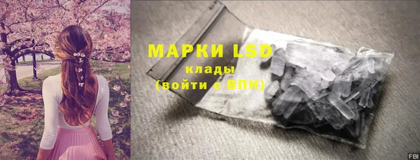 амф Липки